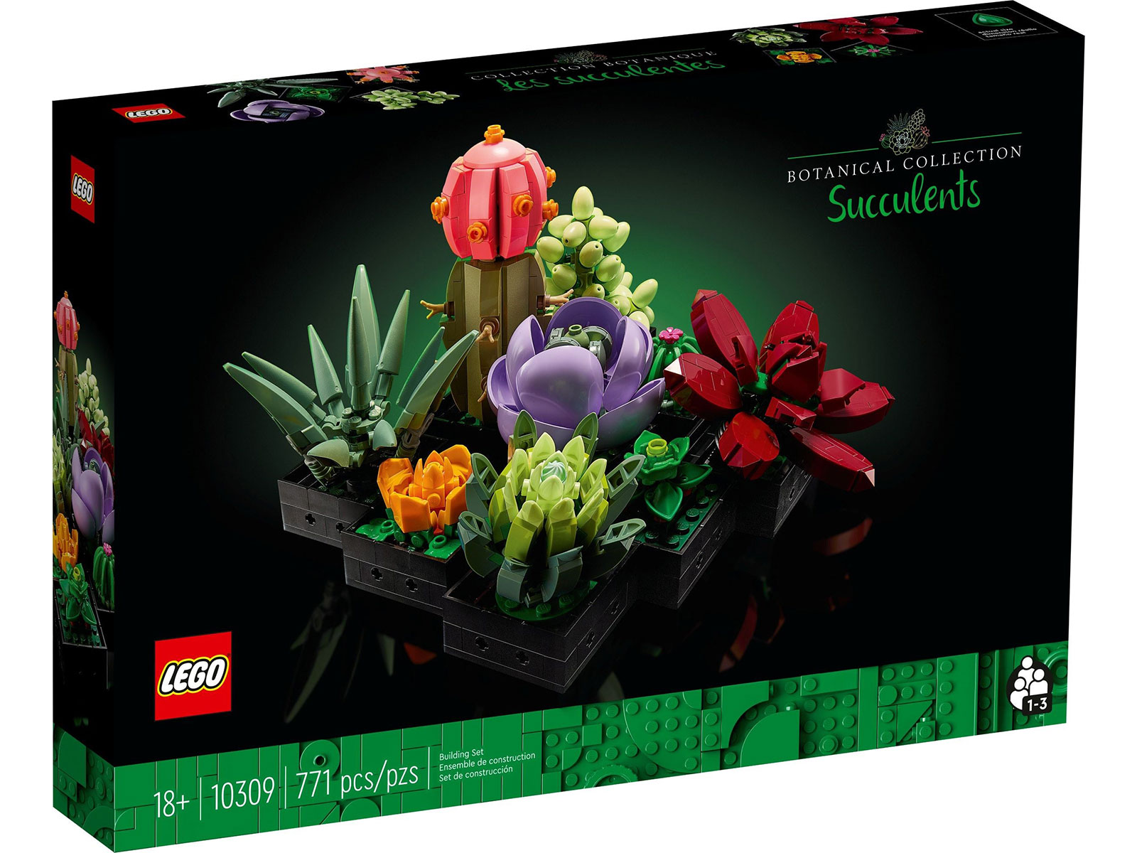 LEGO® Icons 10309 - Sukkulenten LEGO® Icons 10309 - Sukkulenten