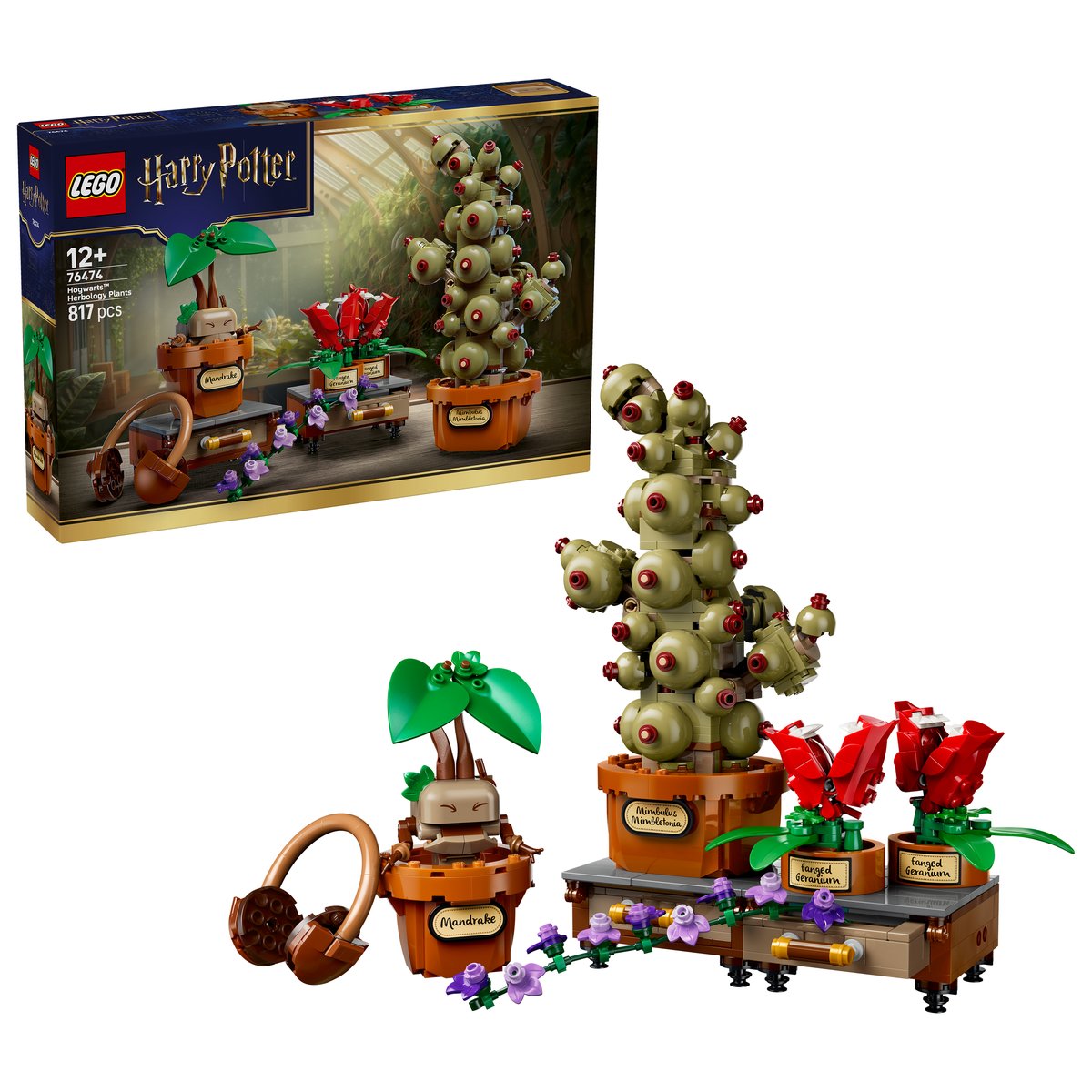 LEGO 76474 LEGO® Harry Potter™ 76474 - Schloss Hogwarts™: Kräuterkunde-Pflanzen – Box & Produkt