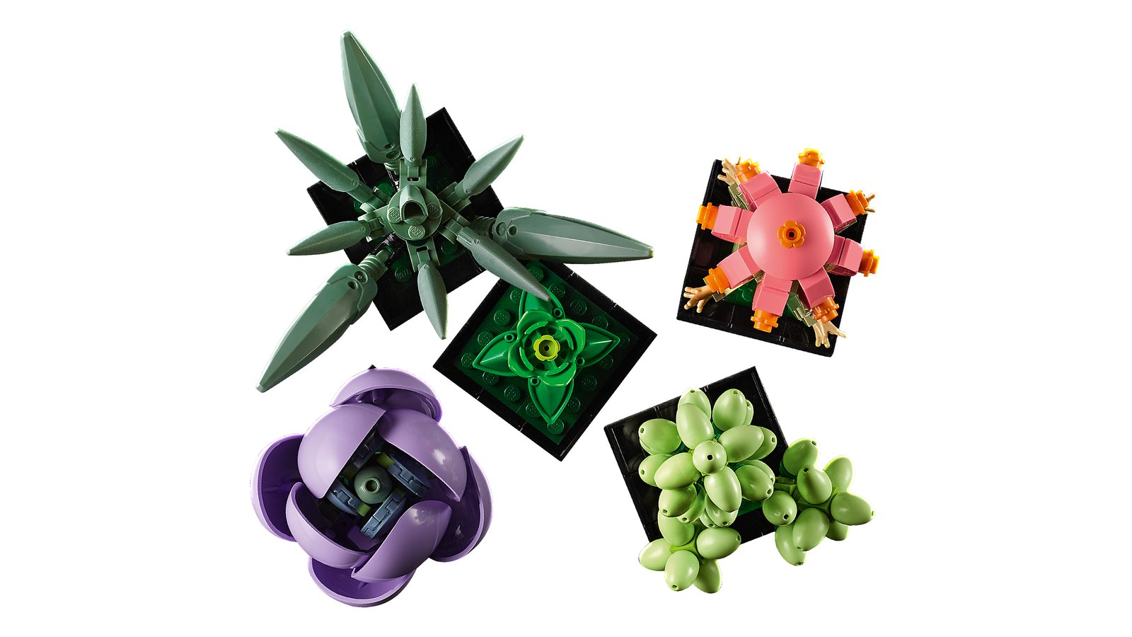 LEGO 10309 LEGO® Icons 10309 - Sukkulenten – Detailansicht 2