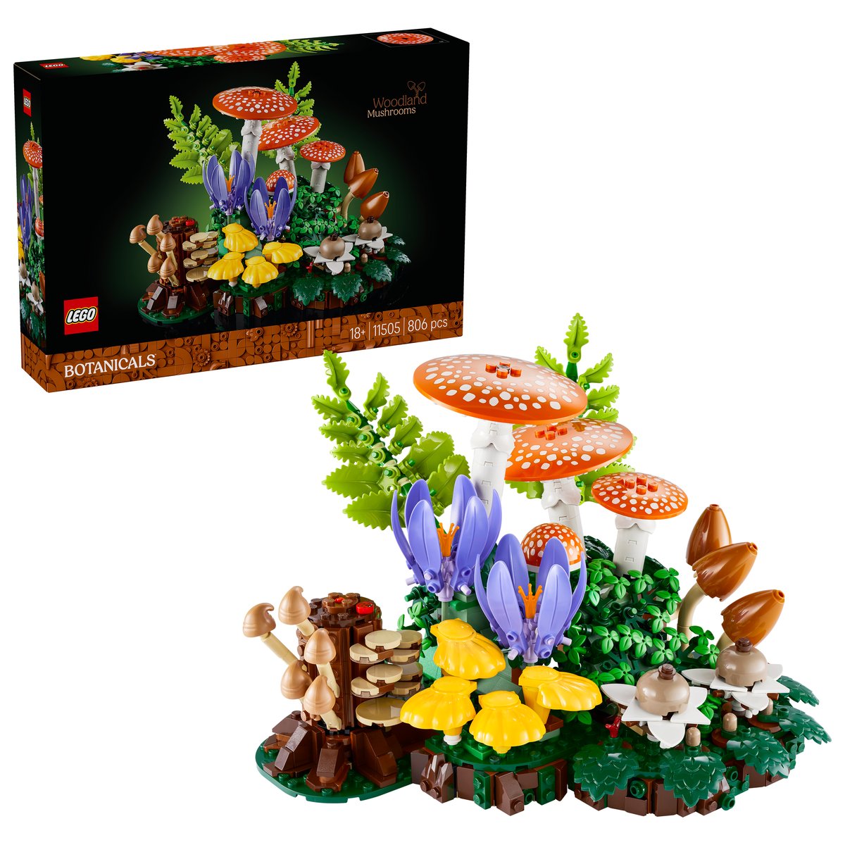 LEGO 11505 LEGO® Botanicals 11505 - Waldpilze – Box & Produkt