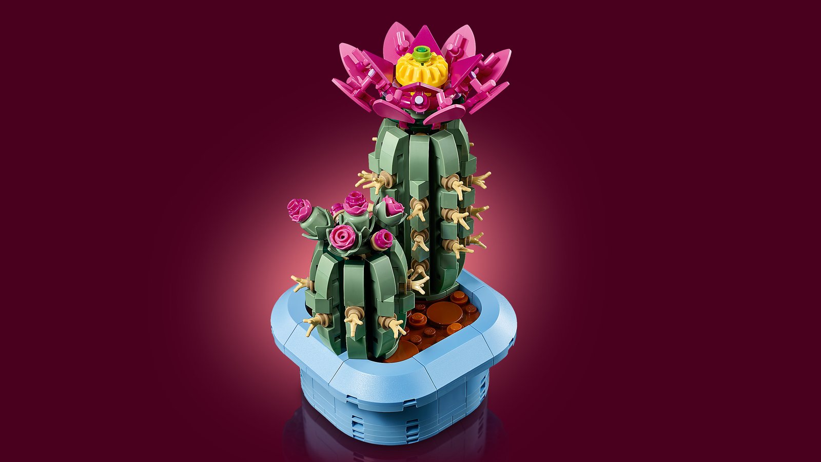LEGO 11509 LEGO® Botanicals 11509 - Blühender Kaktus – Primaeres Produktbild