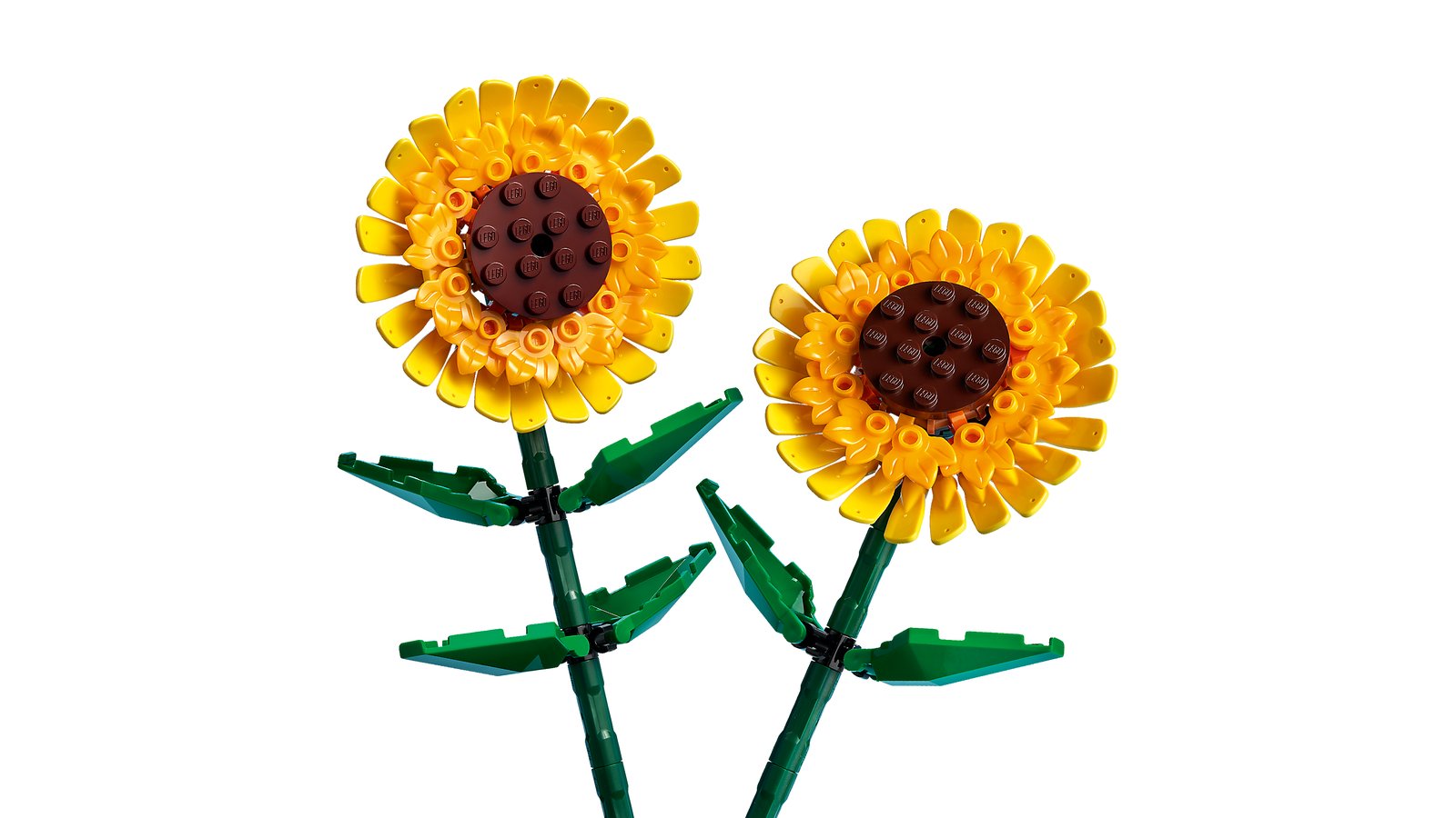 LEGO 40524 LEGO® Iconic 40524 - Sonnenblumen – Primaeres Produktbild