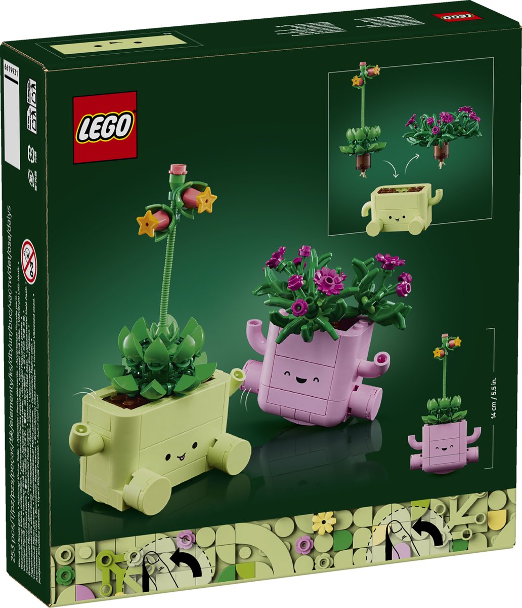 LEGO 11506 LEGO® Botanicals 11506 - Schaukelnde Pflanzen – Verpackung hinten