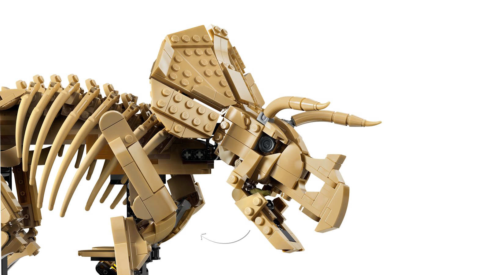 LEGO 77985 LEGO® Jurassic World 77985 - Dinosaurier-Fossilien: Triceratops – Detailansicht 3