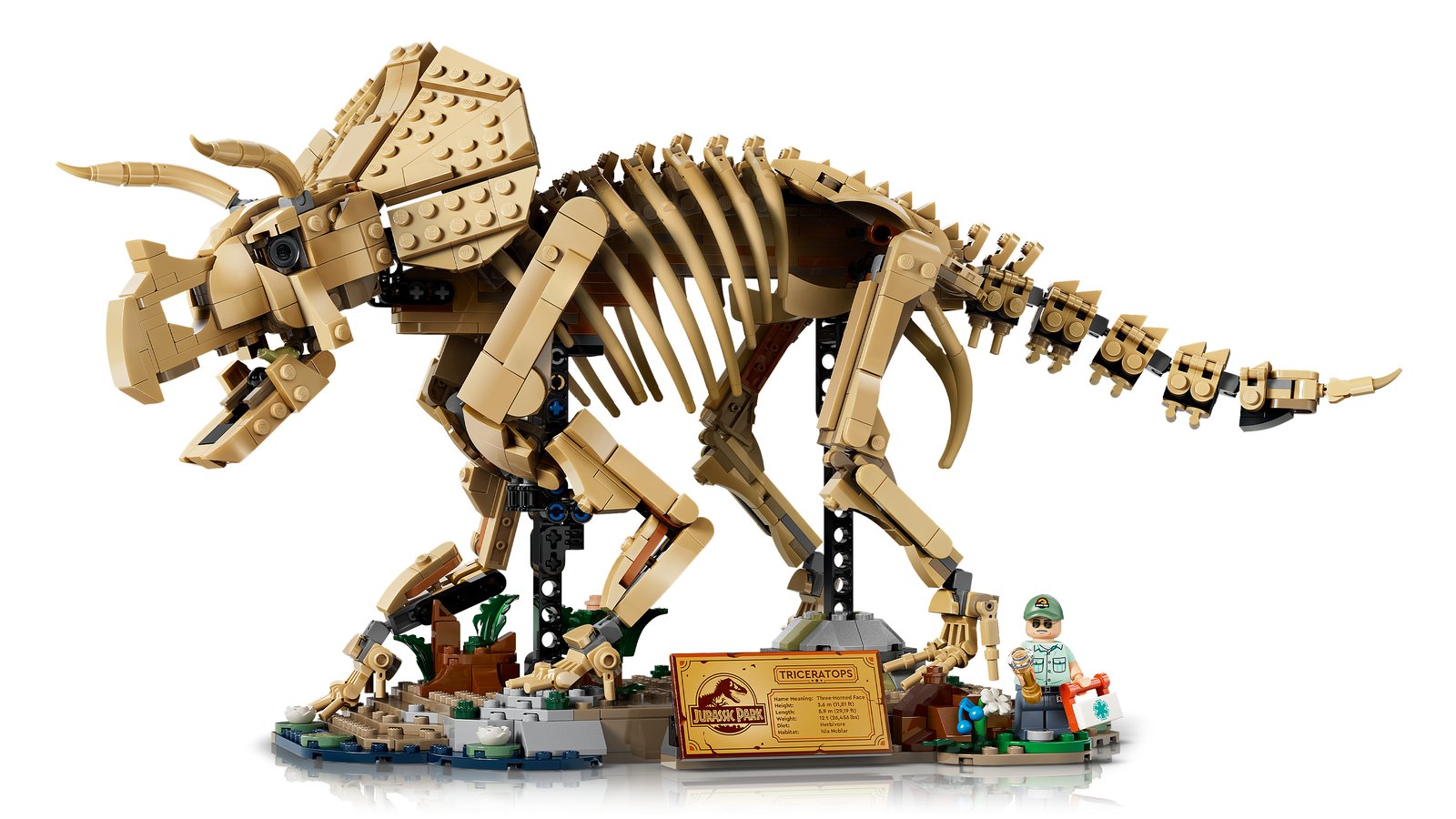 LEGO 77985 LEGO® Jurassic World 77985 - Dinosaurier-Fossilien: Triceratops – Primäres Produktbild