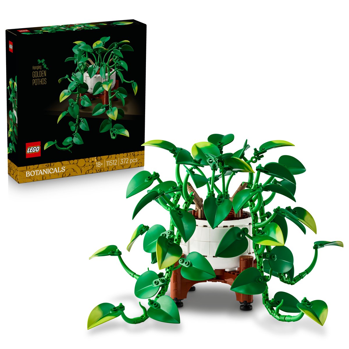LEGO 11512 LEGO® Botanicals 11512 - Hängende Efeutute – Box & Produkt