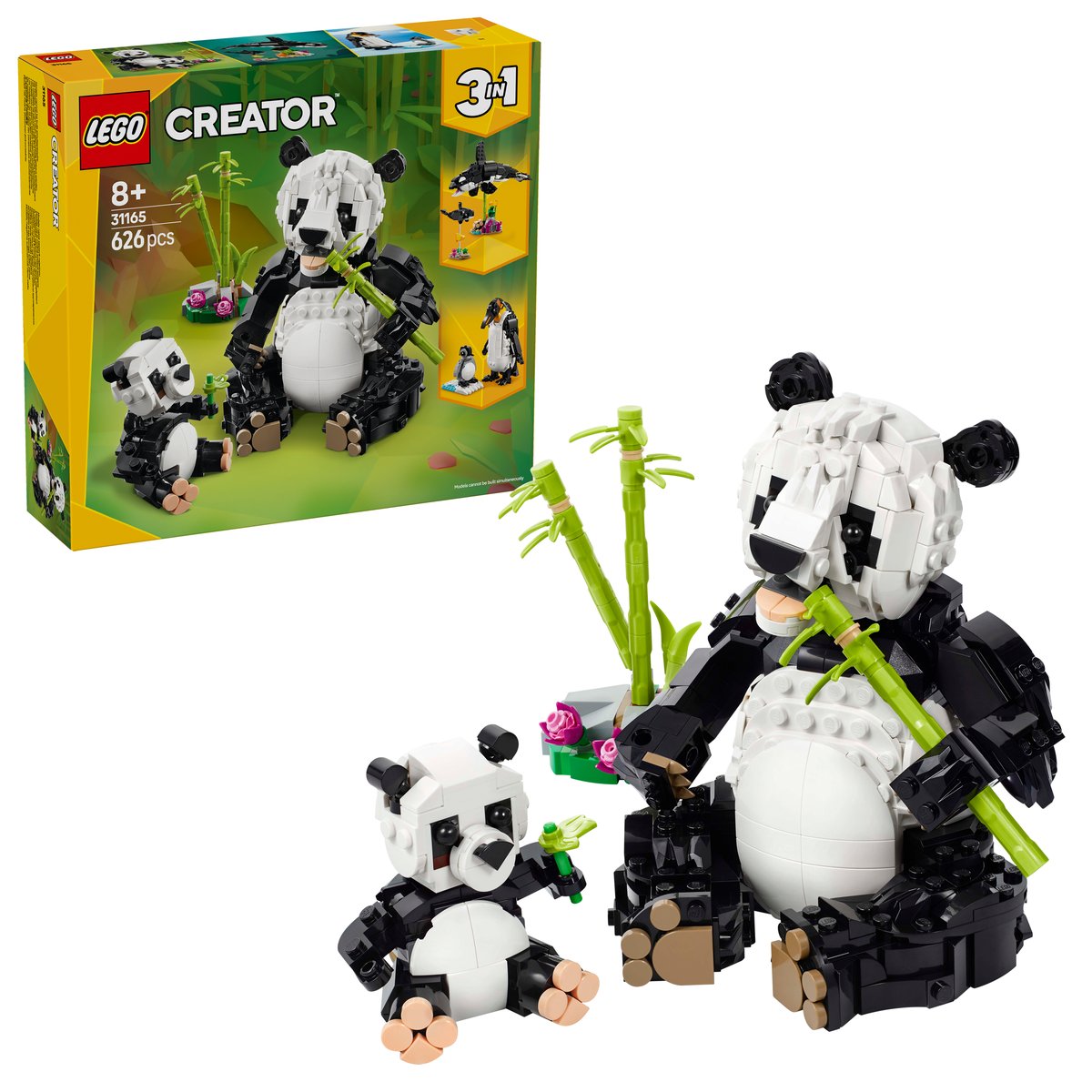 LEGO 31165 LEGO® Creator 31165 - Wilde Tiere: Pandafamilie – Box & Produkt