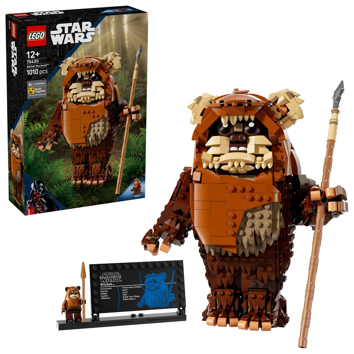 LEGO 75430 LEGO® Star Wars™ 75430 - Der Ewok Wicket™ – Box & Produkt