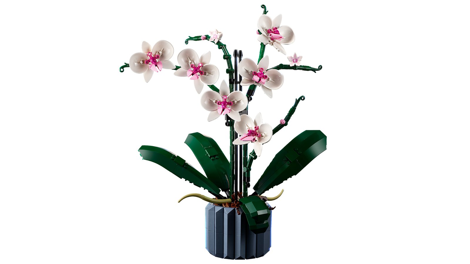 LEGO 10311 LEGO® Icons 10311 - Orchidee – Detailansicht 2