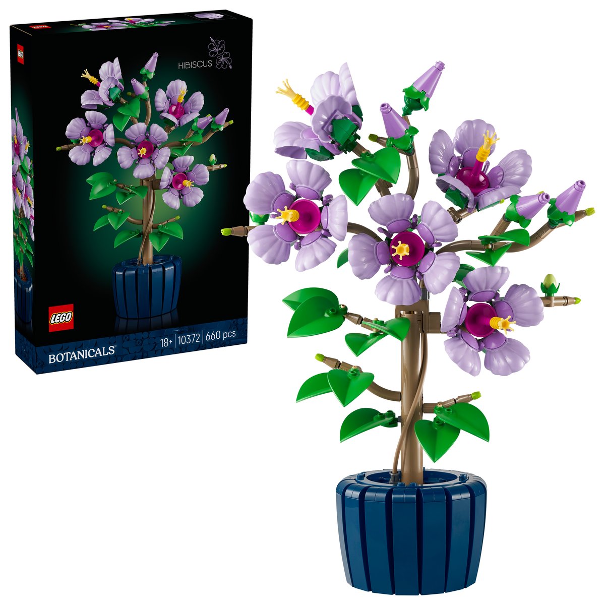 LEGO 10372 LEGO® Botanicals 10372 - Hibiskus – Box & Produkt