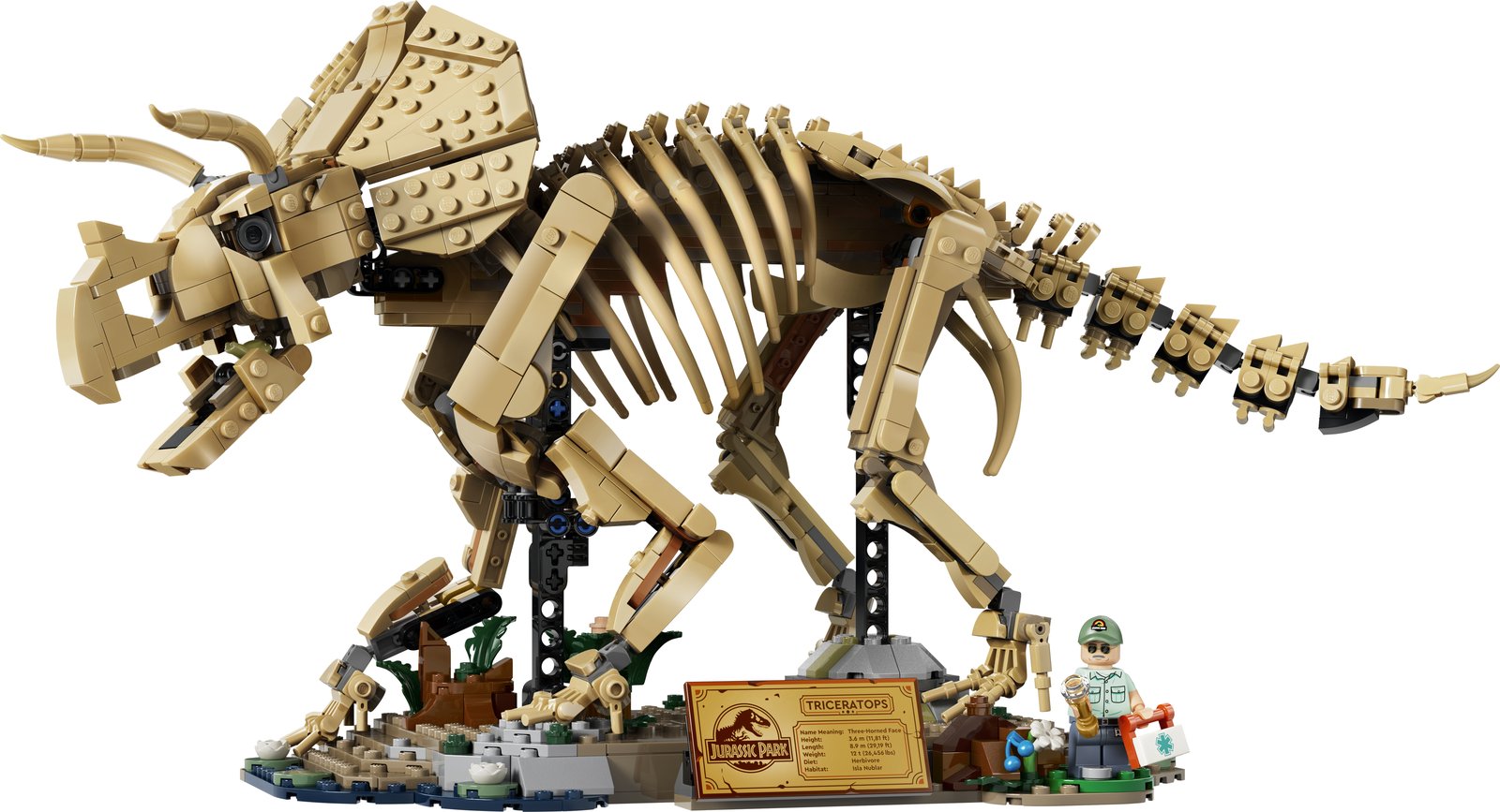 LEGO 77985 LEGO® Jurassic World 77985 - Dinosaurier-Fossilien: Triceratops – Produktfoto