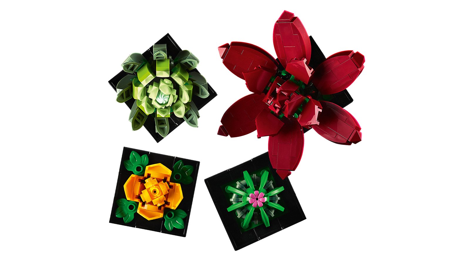 LEGO 10309 LEGO® Icons 10309 - Sukkulenten – Detailansicht 3