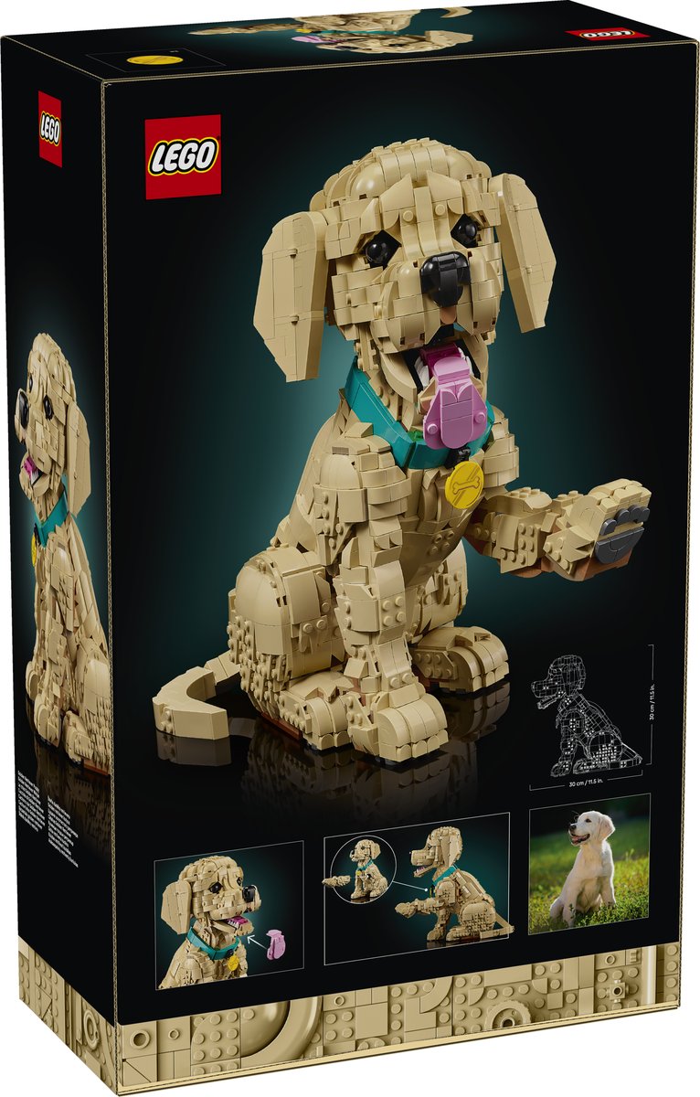 LEGO 11384 LEGO® Icons 11384 - Golden Retriever Welpe – Verpackung hinten
