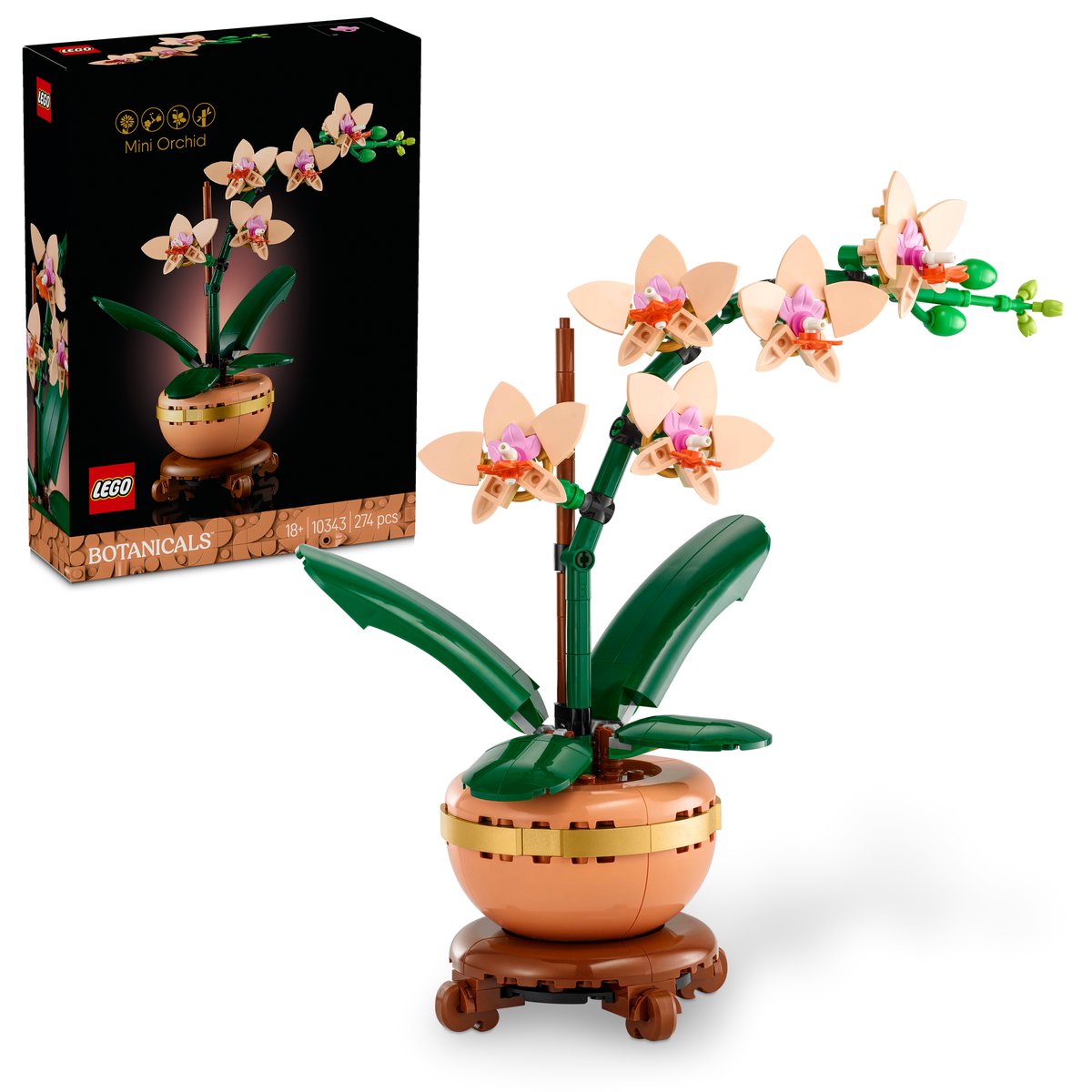 LEGO 10343 LEGO® Botanicals 10343 - Mini-Orchidee – Box & Produkt