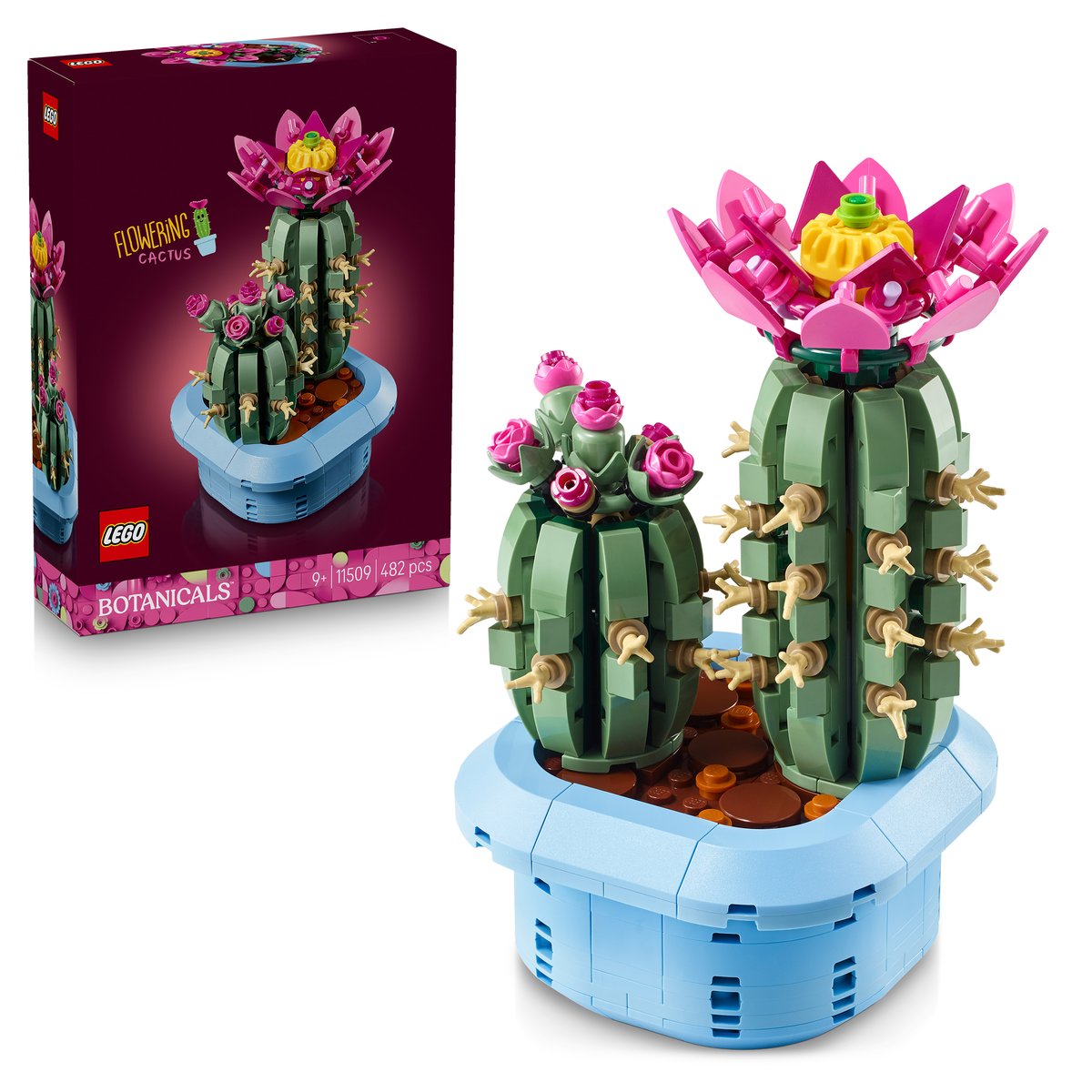 LEGO 11509 LEGO® Botanicals 11509 - Blühender Kaktus – Box & Produkt
