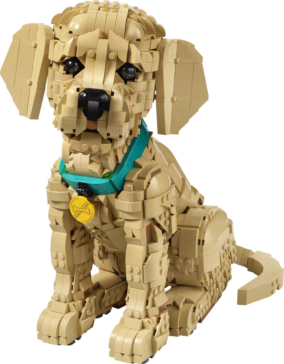 LEGO 11384 LEGO® Icons 11384 - Golden Retriever Welpe – Produktfoto