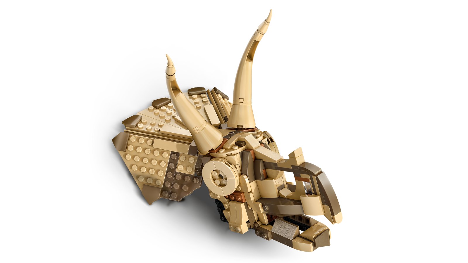 LEGO 76969 LEGO® Jurassic World 76969 - Dinosaurier-Fossilien: Triceratops-Schädel – Detailansicht 1