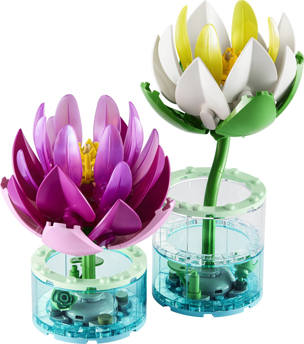 LEGO 11511 LEGO® Botanicals 11511 - Seerosen – Produktfoto