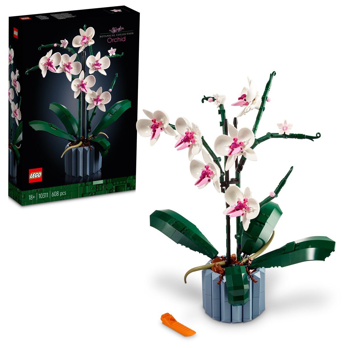 LEGO 10311 LEGO® Icons 10311 - Orchidee – Box & Produkt