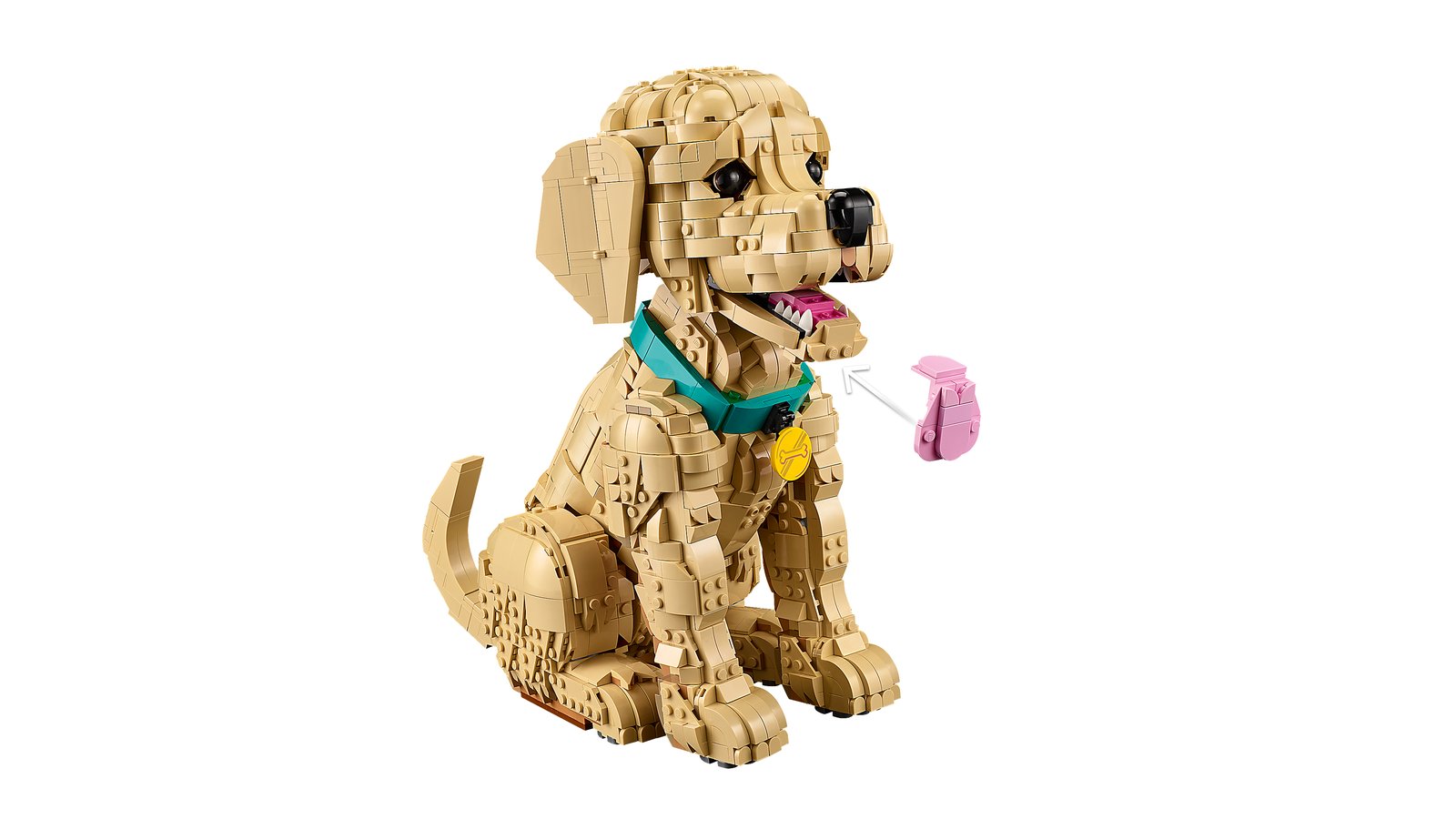 LEGO 11384 LEGO® Icons 11384 - Golden Retriever Welpe – Detailansicht 5