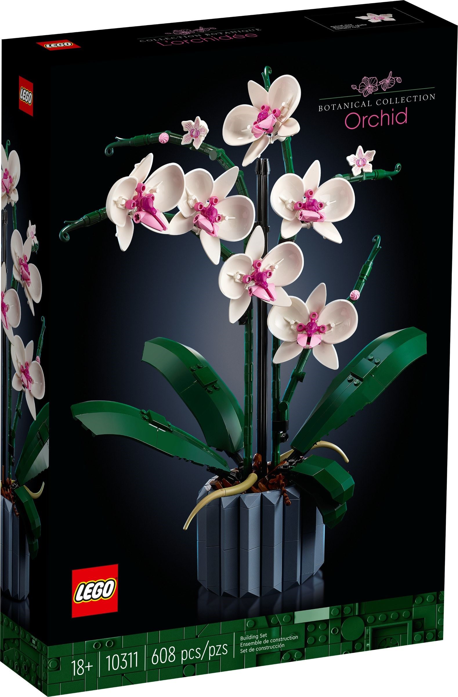 LEGO® Icons 10311 - Orchidee LEGO® Icons 10311 - Orchidee