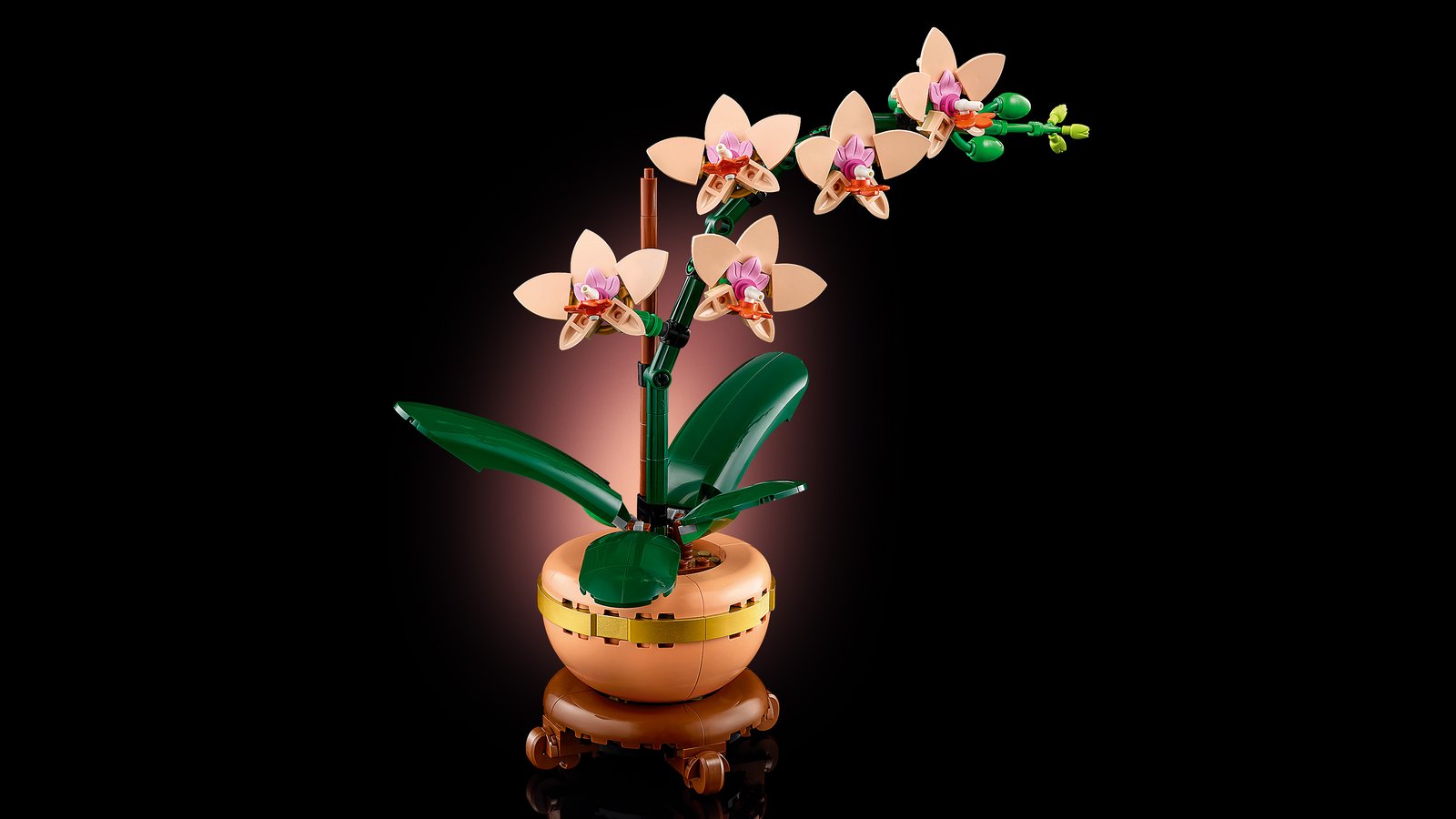 LEGO 10343 LEGO® Botanicals 10343 - Mini-Orchidee – Detailansicht 3