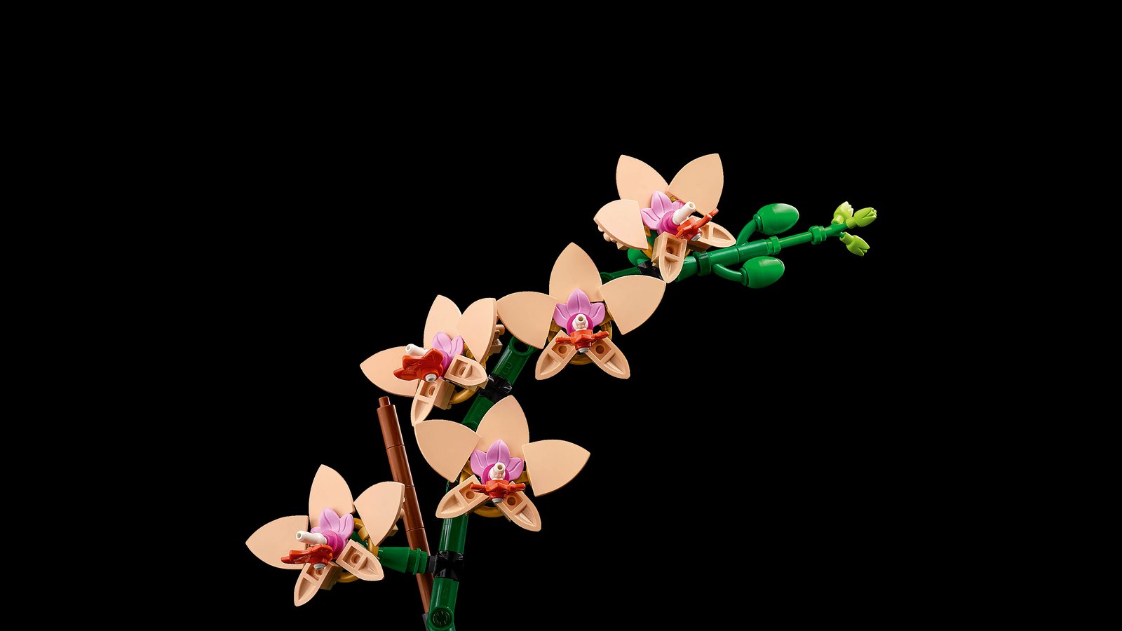 LEGO 10343 LEGO® Botanicals 10343 - Mini-Orchidee – Detailansicht 1