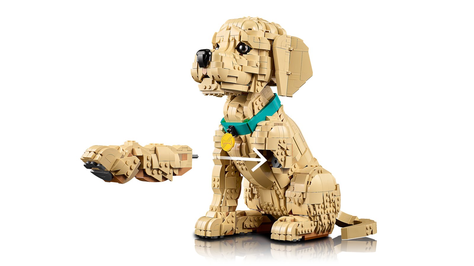 LEGO 11384 LEGO® Icons 11384 - Golden Retriever Welpe – Detailansicht 7