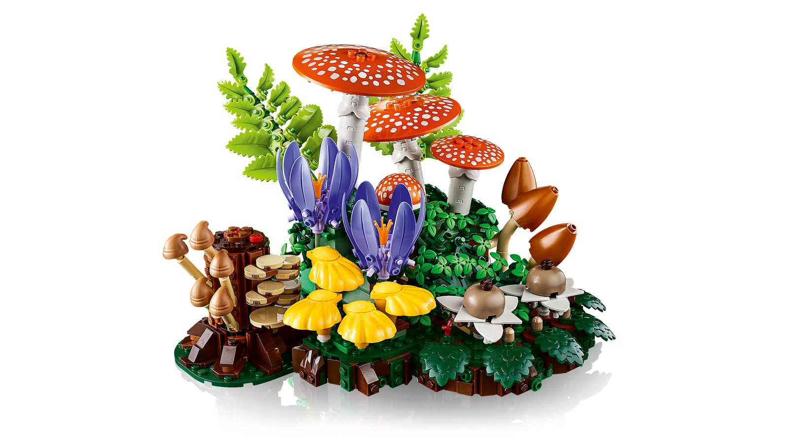 LEGO 11505 LEGO® Botanicals 11505 - Waldpilze – Primäres Produktbild