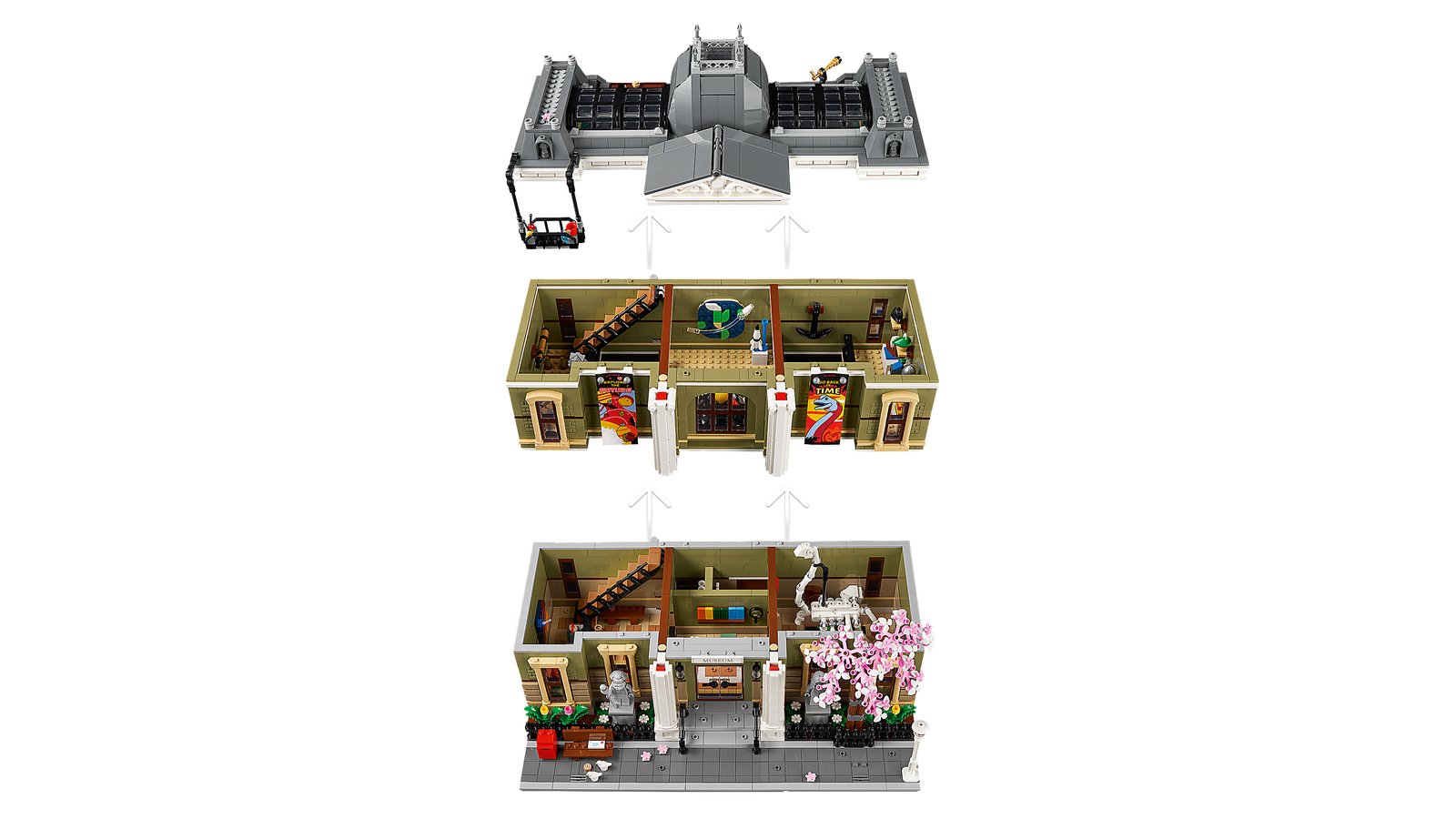 LEGO 10326 LEGO® Icons 10326 - Naturhistorisches Museum – Detailansicht 4