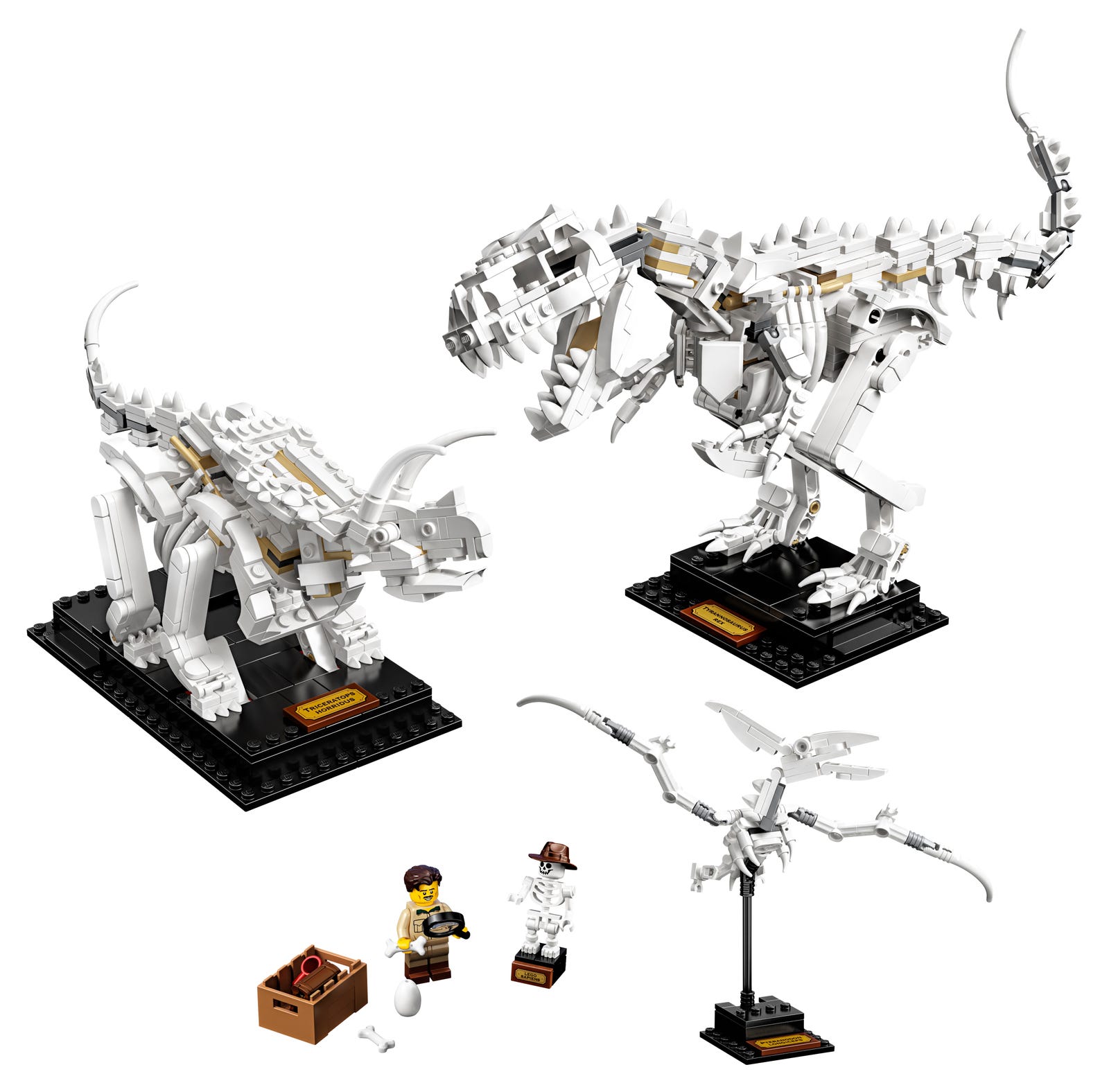 LEGO® Ideas 21320 - Dinosaurier-Fossilien