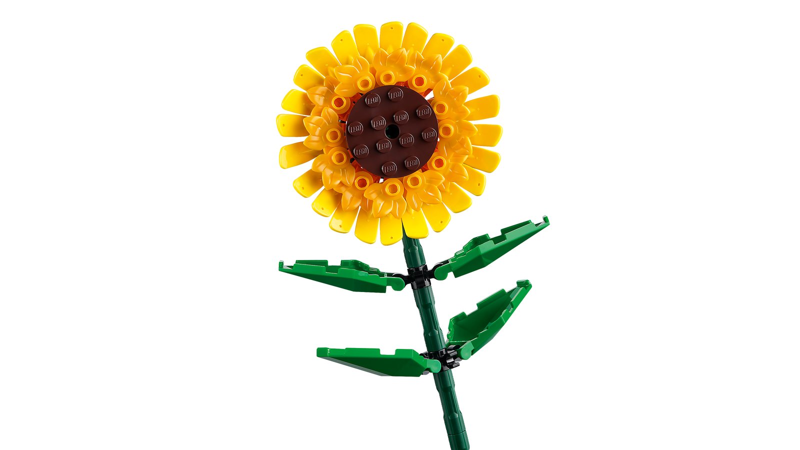 LEGO 40524 LEGO® Iconic 40524 - Sonnenblumen – Detailansicht 1