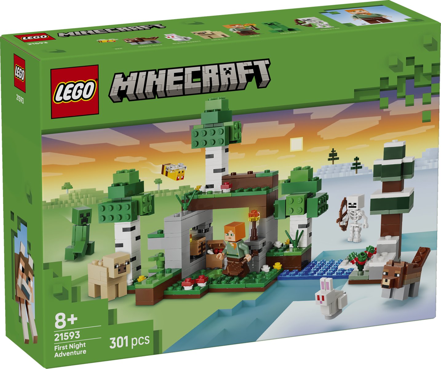 LEGO 21593 LEGO® Minecraft® 21593 - Erstes Abenteuer in der Nacht – Verpackung vorne
