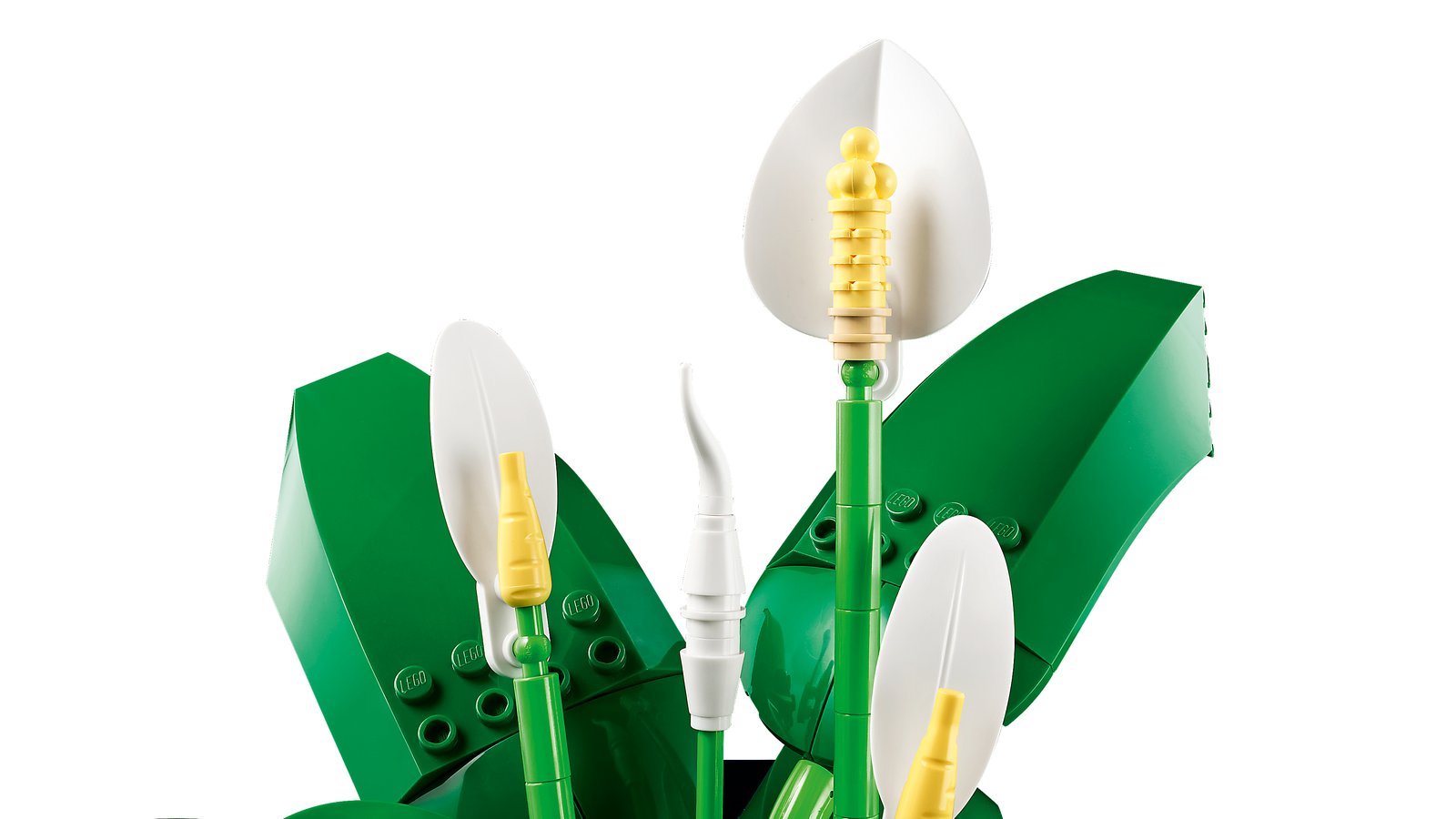 LEGO 11504 LEGO® Botanicals 11504 - Friedenslilie – Detailansicht 1